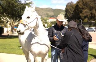 A student holding a horse chats with two other students on Dexter Lawn.